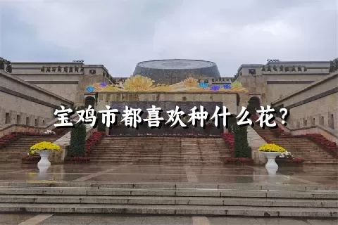 宝鸡市都喜欢种什么花？