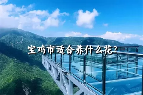 宝鸡市适合养什么花？