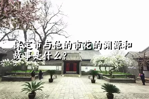 保定市与他的市花的渊源和故事是什么？