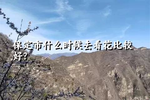 保定市什么时候去看花比较好？