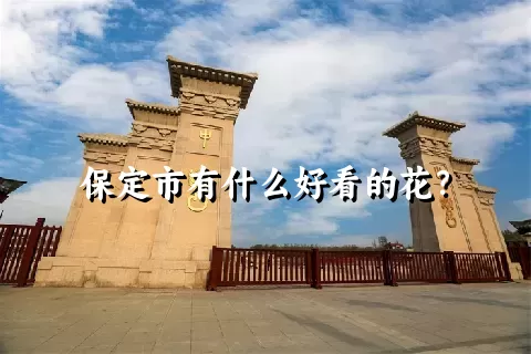 保定市有什么好看的花？