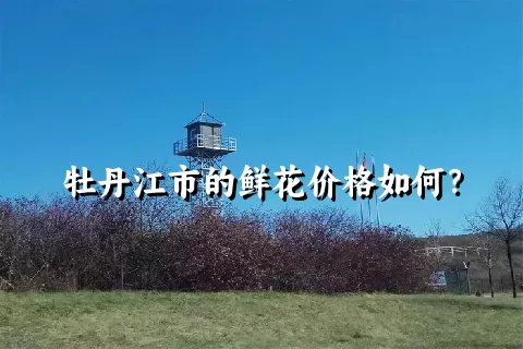 牡丹江市的鲜花价格如何？