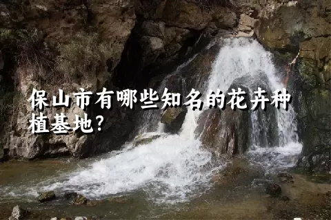 保山市有哪些知名的花卉种植基地？