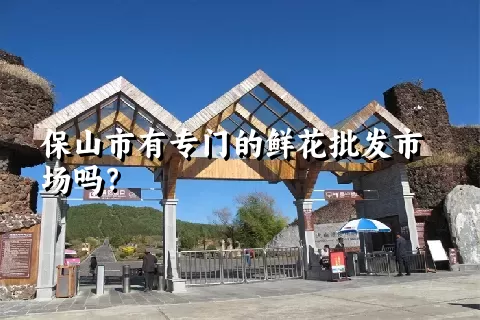 保山市有专门的鲜花批发市场吗？