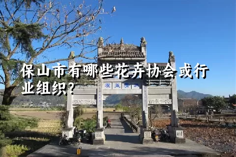 保山市有哪些花卉协会或行业组织？