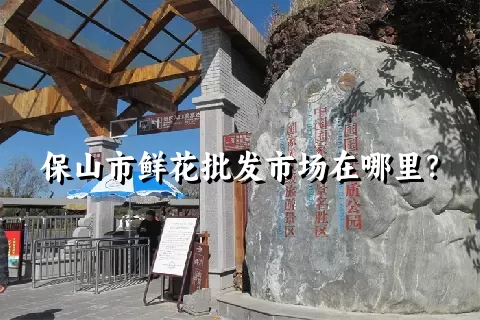 保山市鲜花批发市场在哪里？