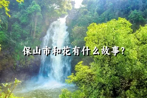 保山市和花有什么故事？