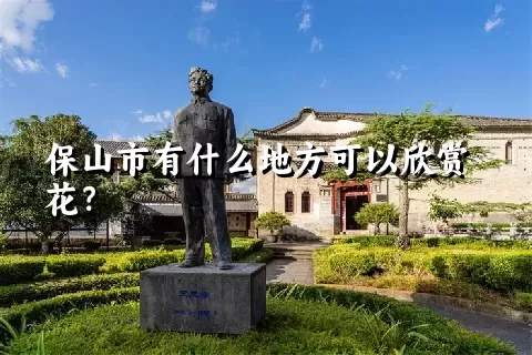 保山市有什么地方可以欣赏花？