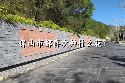 保山市都喜欢种什么花？