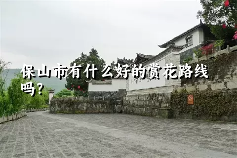 保山市有什么好的赏花路线吗？