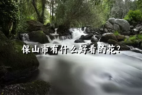 保山市有什么好看的花？