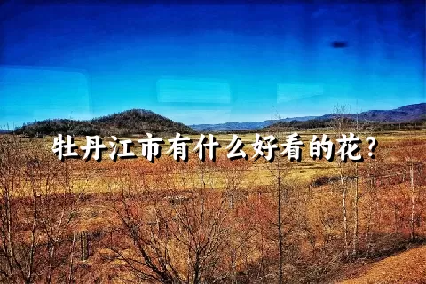 牡丹江市有什么好看的花？