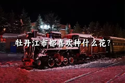 牡丹江市都喜欢种什么花？