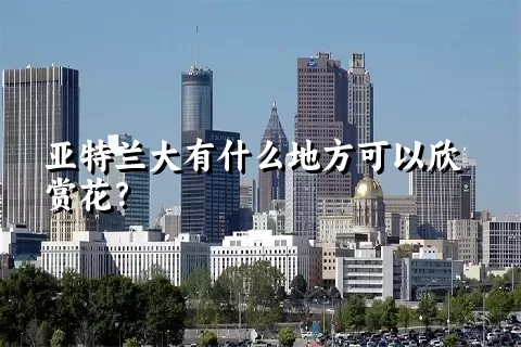 亚特兰大有什么地方可以欣赏花？