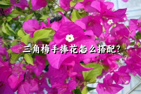 三角梅手捧花怎么搭配？