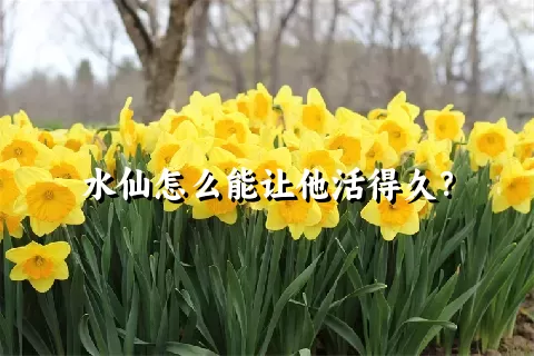 水仙怎么能让他活得久？