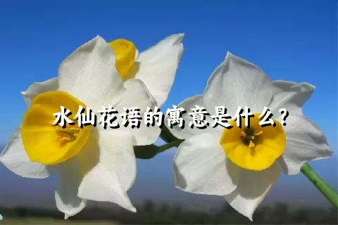 水仙花语的寓意是什么？