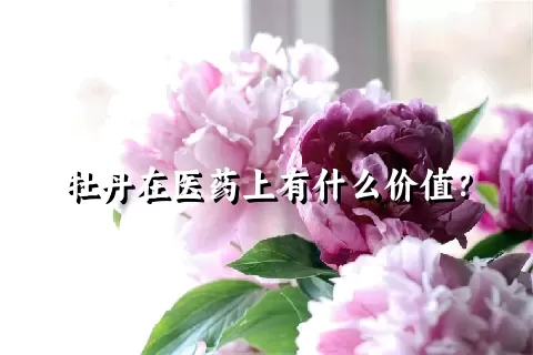 牡丹在医药上有什么价值？