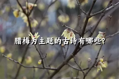 腊梅为主题的古诗有哪些？