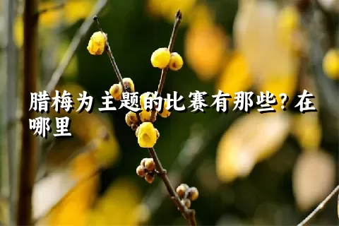 腊梅为主题的比赛有那些？在哪里