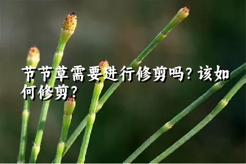 节节草需要进行修剪吗？该如何修剪？