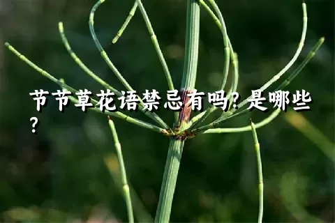 节节草花语禁忌有吗？是哪些？