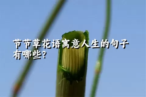 节节草花语寓意人生的句子有哪些？