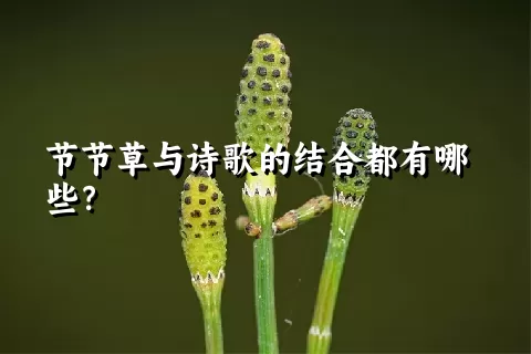 节节草与诗歌的结合都有哪些？