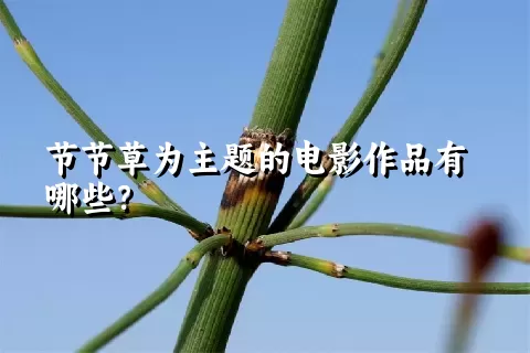 节节草为主题的电影作品有哪些？