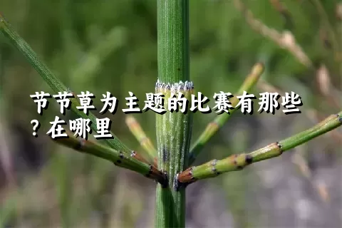 节节草为主题的比赛有那些？在哪里