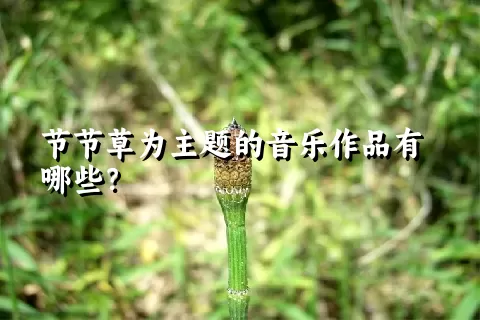 节节草为主题的音乐作品有哪些？