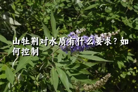 山牡荆对水质有什么要求？如何控制