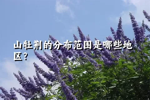 山牡荆的分布范围是哪些地区？