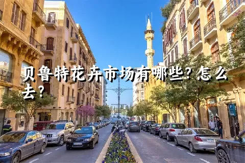 贝鲁特花卉市场有哪些？怎么去？