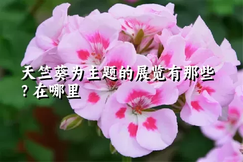 天竺葵为主题的展览有那些？在哪里