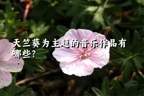 天竺葵为主题的音乐作品有哪些？