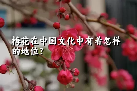 梅花在中国文化中有着怎样的地位？