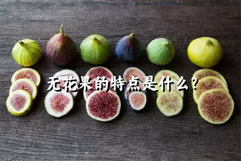 无花果的特点是什么？