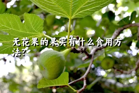 无花果的果实有什么食用方法？