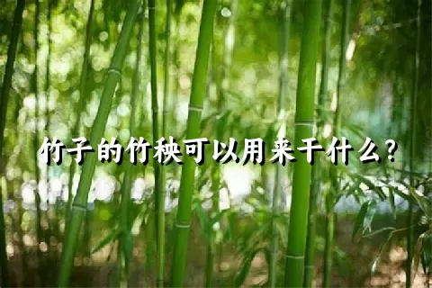 竹子的竹秧可以用来干什么？