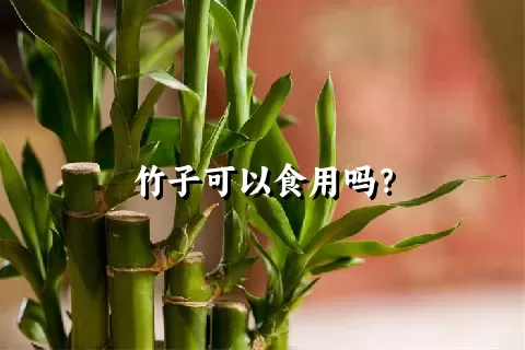 竹子可以食用吗？