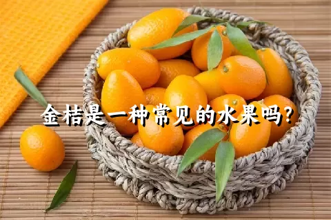 金桔是一种常见的水果吗？