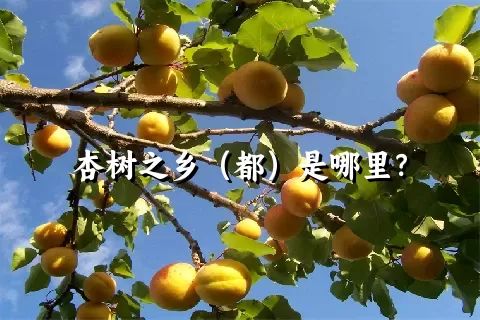 杏树之乡（都）是哪里？