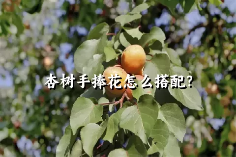 杏树手捧花怎么搭配？