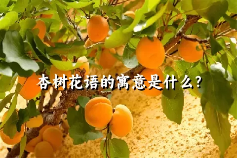 杏树花语的寓意是什么？