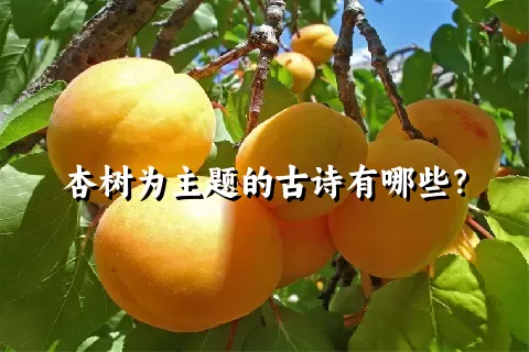 杏树为主题的古诗有哪些？