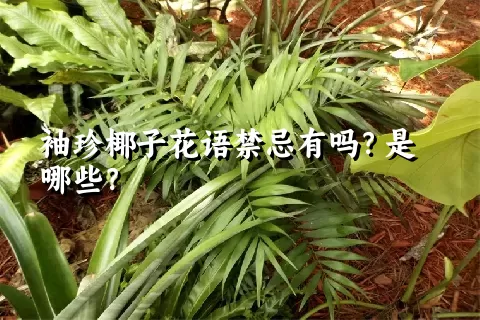 袖珍椰子花语禁忌有吗？是哪些？