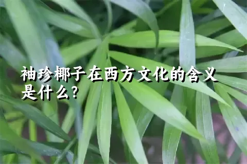 袖珍椰子在西方文化的含义是什么？