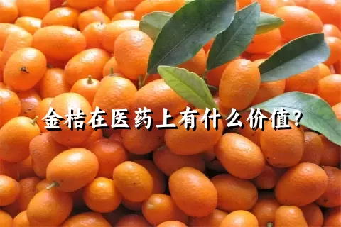 金桔在医药上有什么价值？