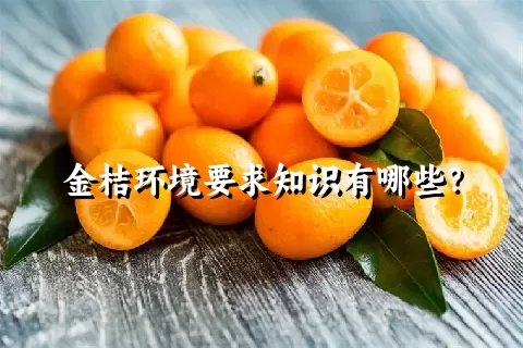 金桔环境要求知识有哪些？